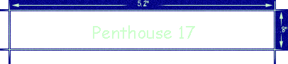 Penthouse 17